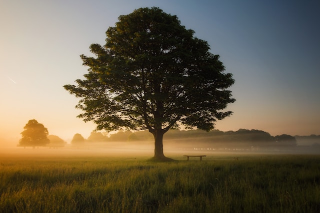 Why It’s So Hard to Leave: Understanding Trauma Bonding